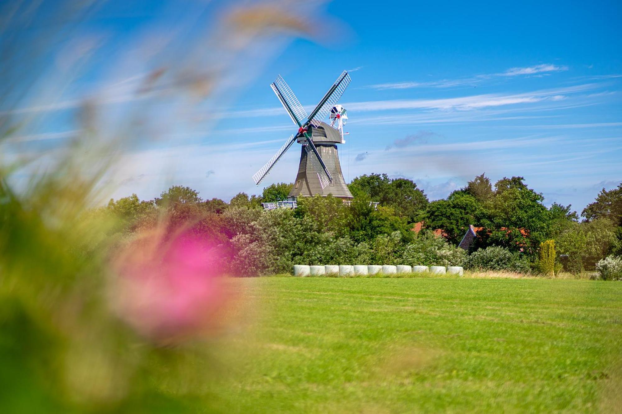 Deichblick Villa Greetsiel Eksteriør billede